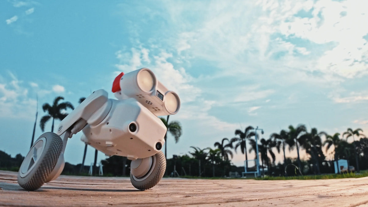 Mondo Robotics