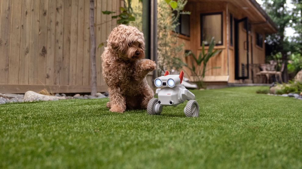 Mondo Robotics’ Debut Robot, Beni, Available for Consumers