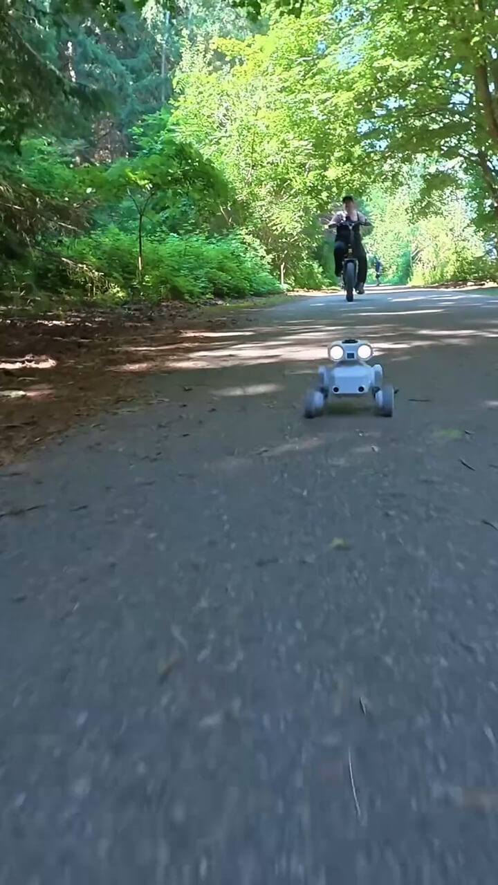 Mondo Robotics