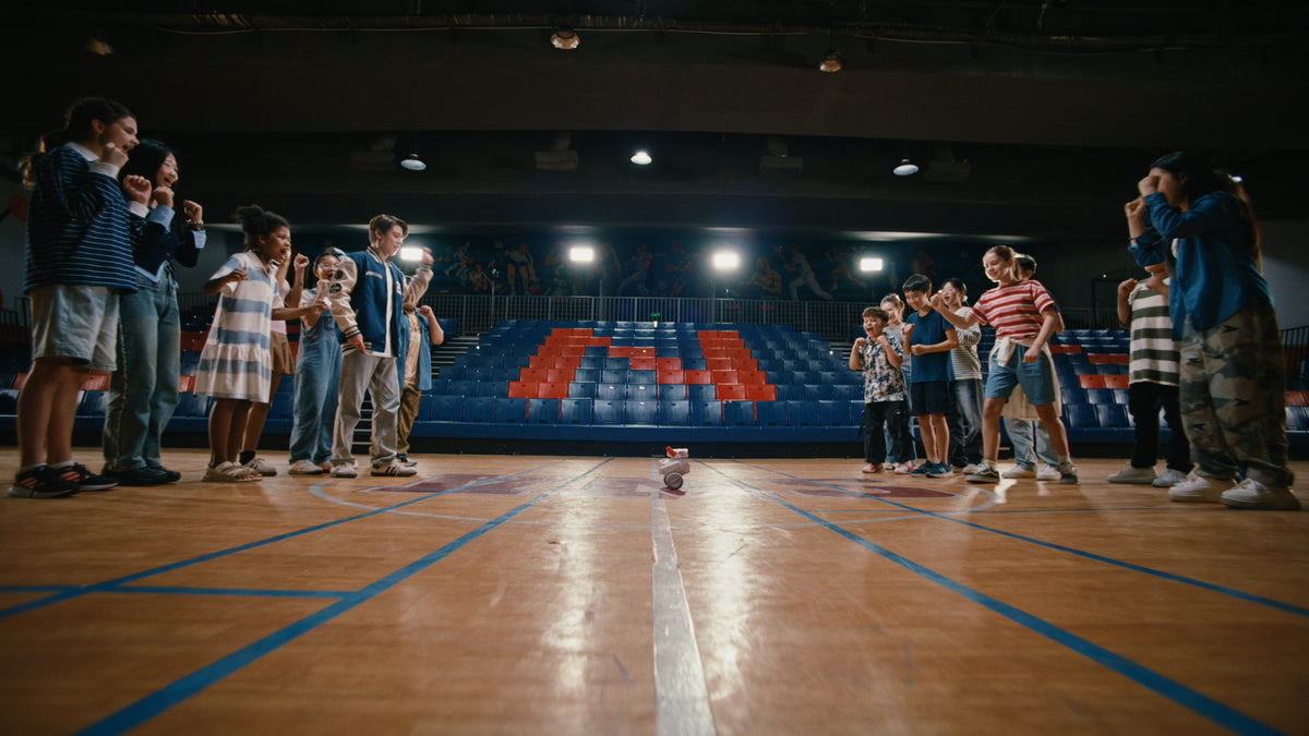 Mondo Robotics