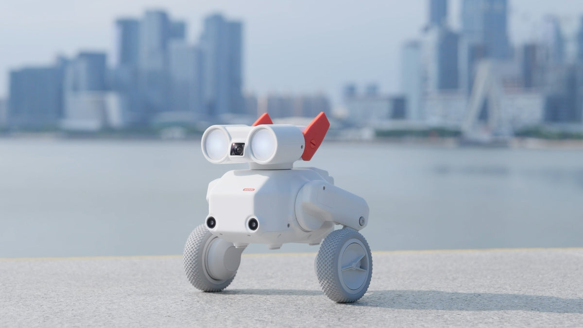 Mondo Robotics