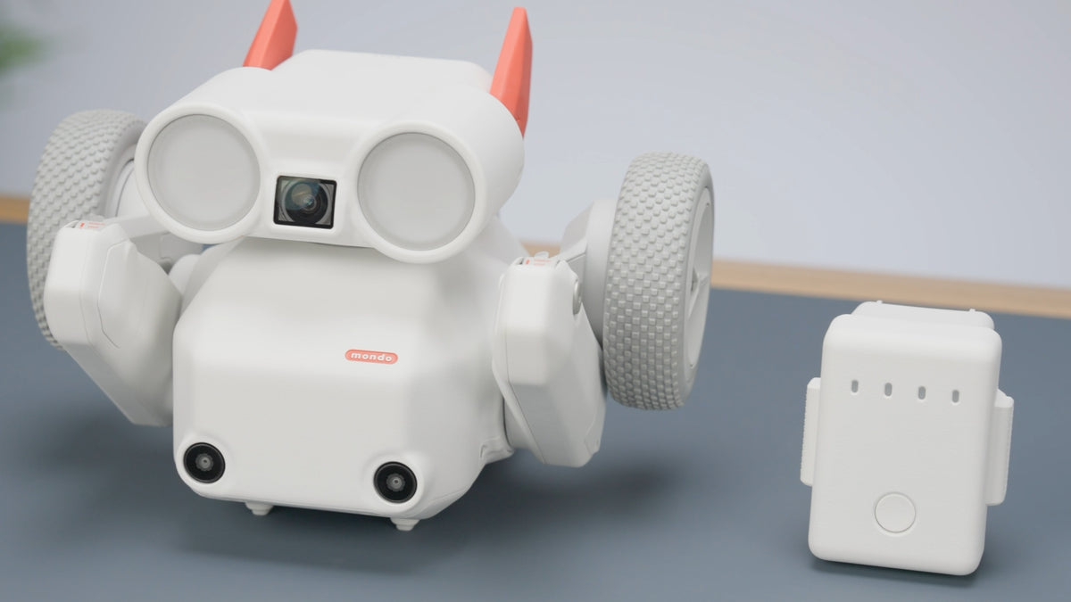 Mondo Robotics