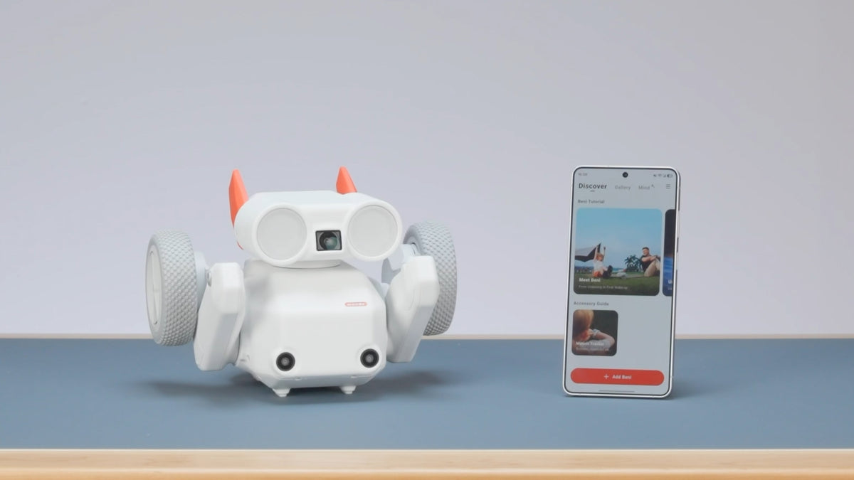 Mondo Robotics