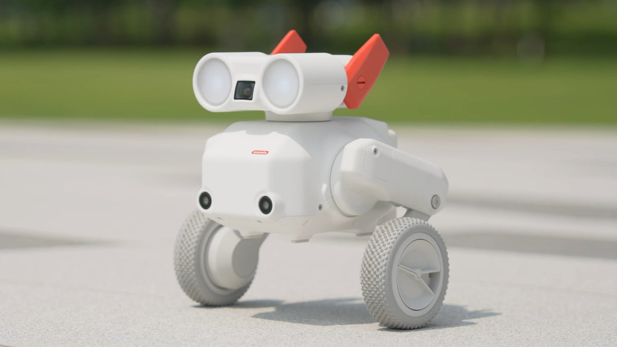 Mondo Robotics