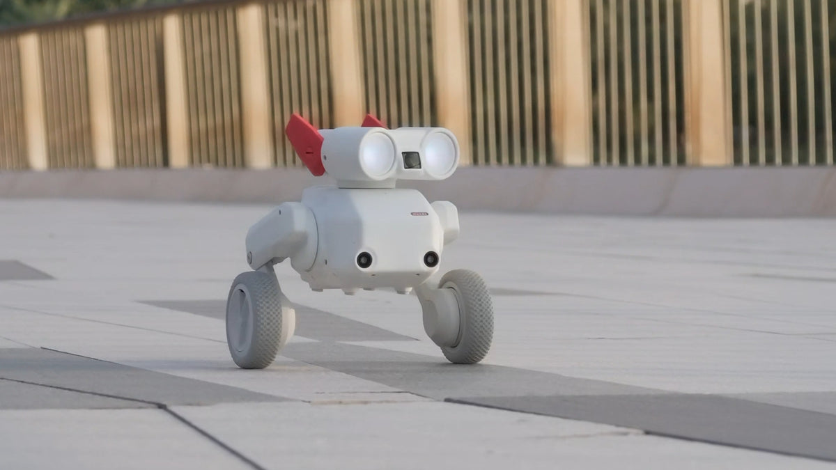 Mondo Robotics