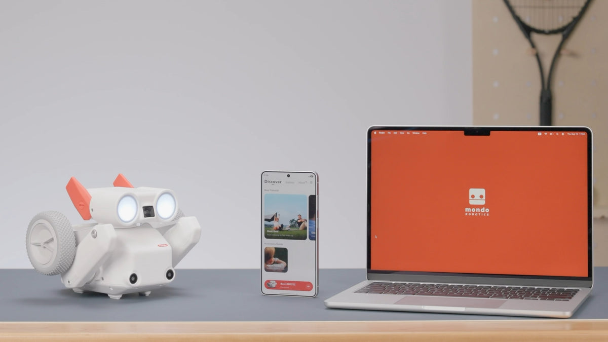 Mondo Robotics