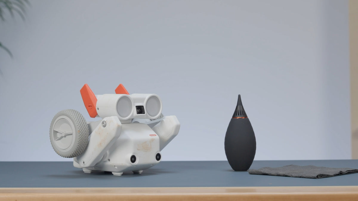 Mondo Robotics