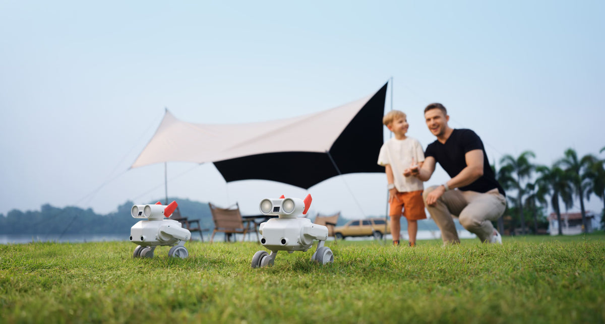 Mondo Robotics