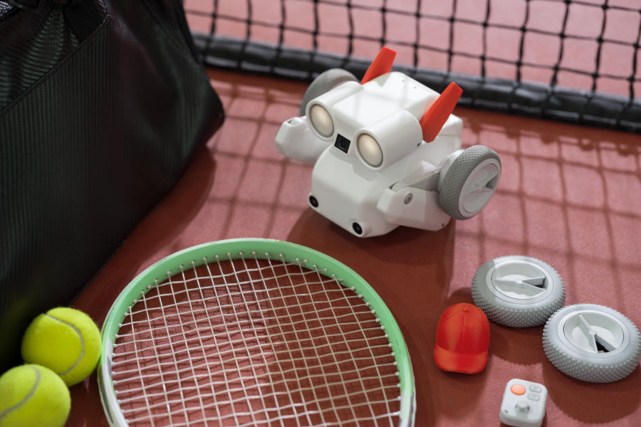 Mondo Robotics