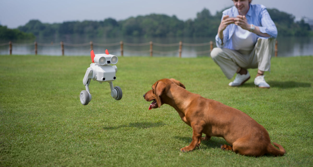 Mondo Robotics