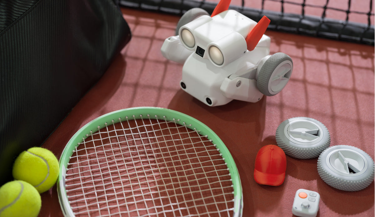Mondo Robotics
