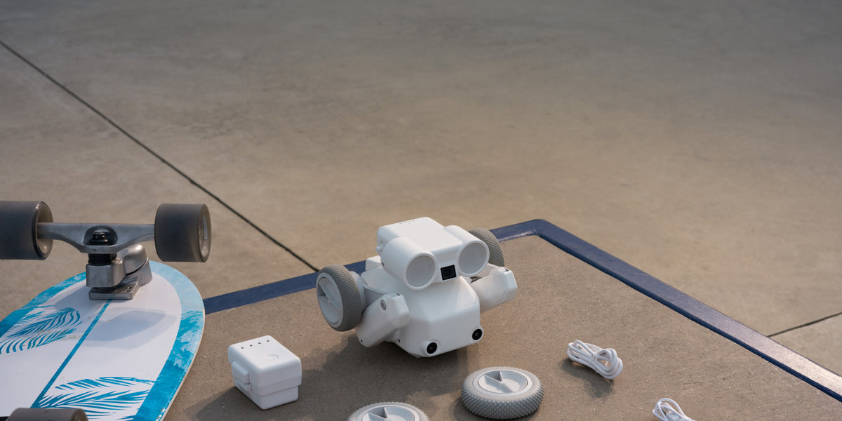 Mondo Robotics