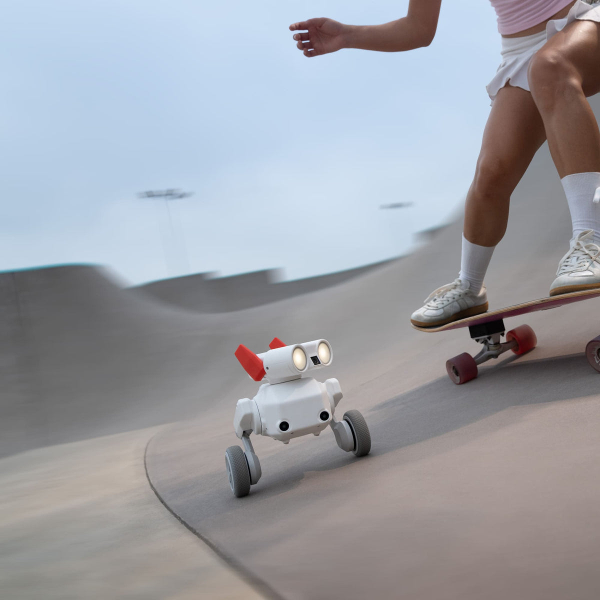 Mondo Robotics
