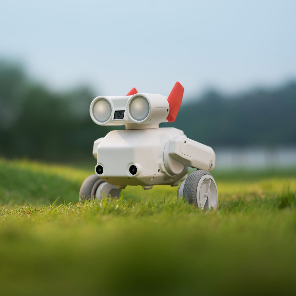 Mondo Robotics