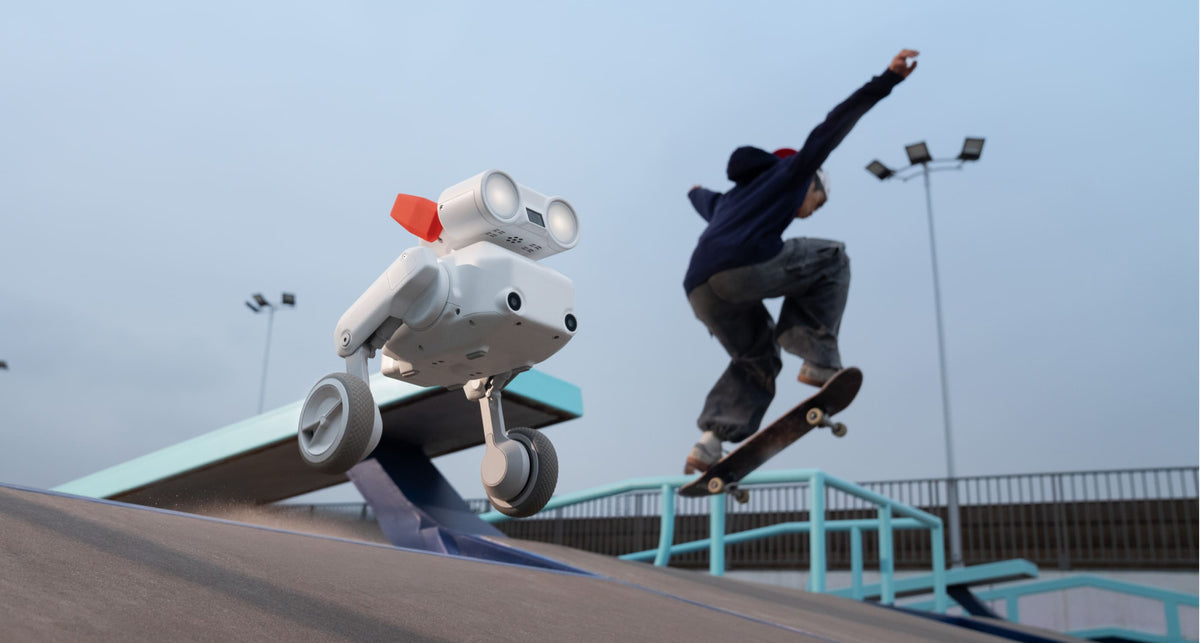 Mondo Robotics