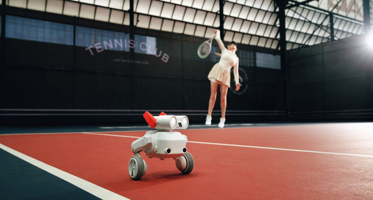 Mondo Robotics