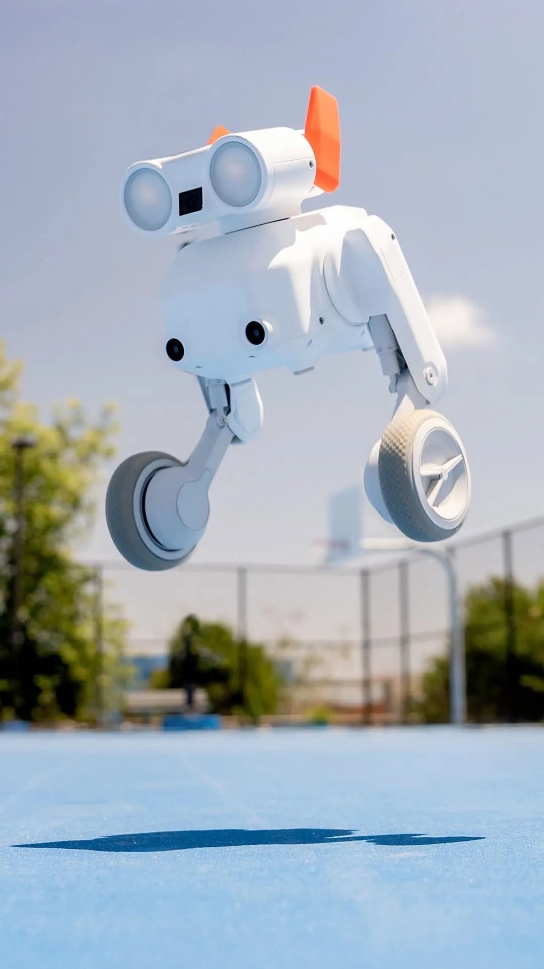 Mondo Robotics