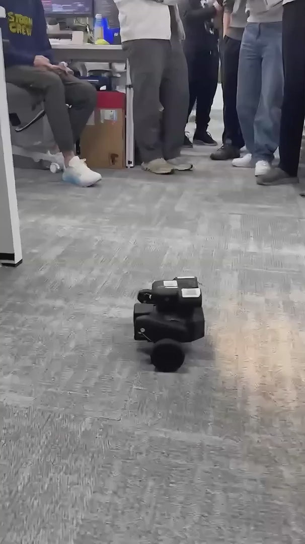 Mondo Robotics